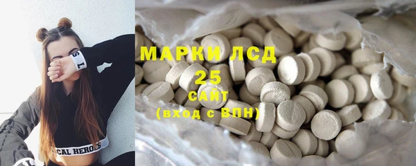 apvp Алексин
