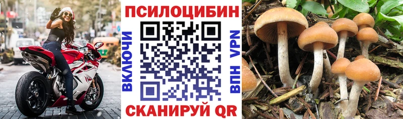 Галлюциногенные грибы Magic Shrooms blacksprut ТОР Шатура
